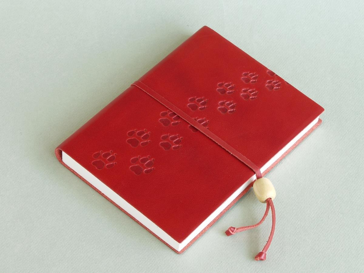 quaderno segreto rosso - Il quaderno rosso
